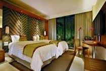 Alana Vasanti Hotel 4*